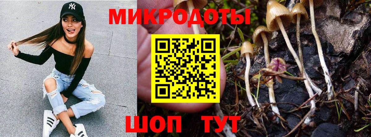 Воркута  Галлюциногенные грибы Psilocybine cubensis  Вход с VPN 